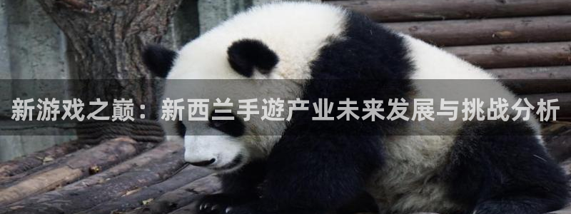 极悦娱乐在线：新游戏之巅：新西兰手遊产业未来发展与挑战分析
