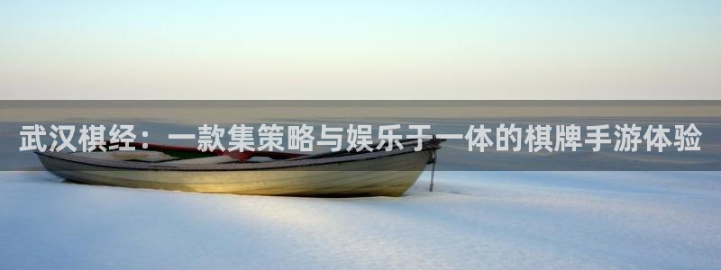 pc极悦娱乐苹果下载网址：武汉棋经：一款集策略与娱乐于一体的