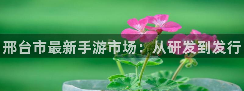 极悦娱乐吧：邢台市最新手游市场：从研发到发行