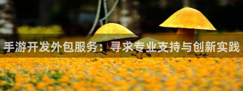 极悦娱乐报数：手游开发外包服务：寻求专业支持与创新实践