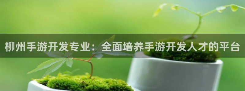 极悦娱乐加拿大在线预测：柳州手游开发专业：全面培养手游开发人
