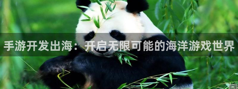 极悦娱乐官方下载ios：手游开发出海：开启无限可能的海洋游戏