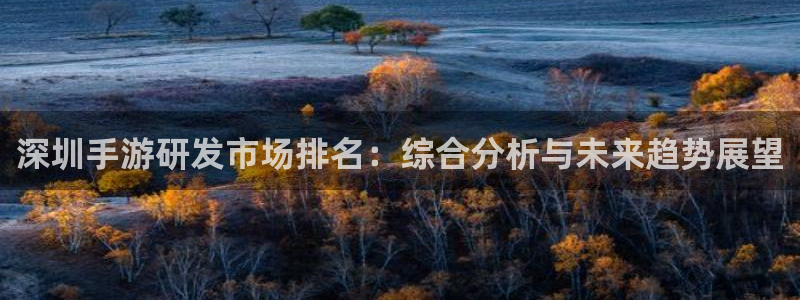 极悦娱乐专业版官网：深圳手游研发市场排名：综合分析与未来趋势