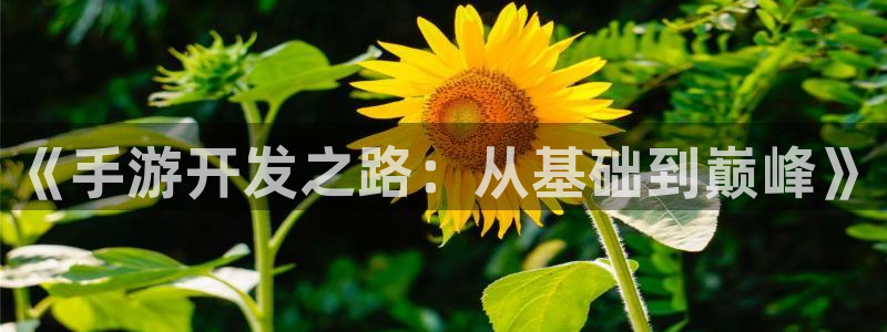 极悦娱乐在线：《手游开发之路：从基础到巅峰》