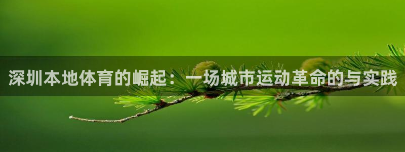 bbin视讯下：深圳本地体育的崛起：一场城市运动革命的与实践