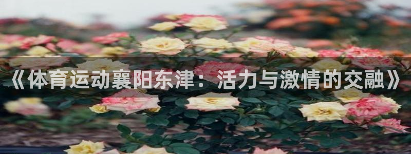 bbin视讯：《体育运动襄阳东津：活力与激情的交融》