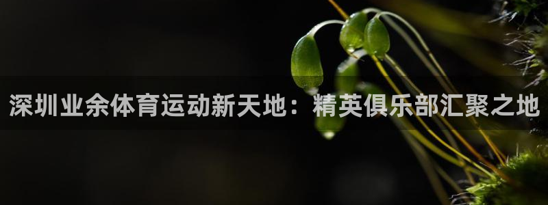 bbin视讯：深圳业余体育运动新天地：精英俱乐部汇聚之地