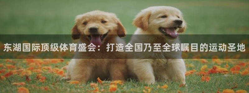 bbin视讯：东湖国际顶级体育盛会：打造全国乃至全球瞩目的运动圣地