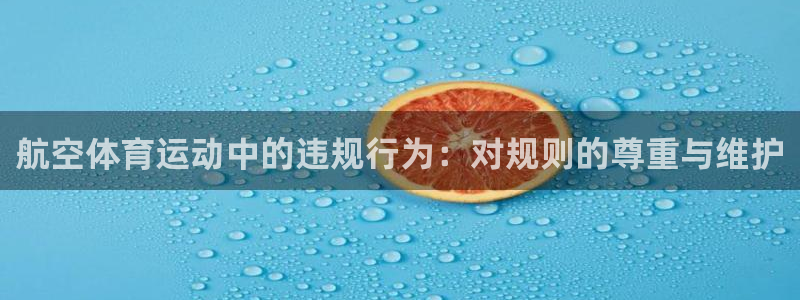 bbin视讯游戏平台：航空体育运动中的违规行为：对规则的尊重与维护