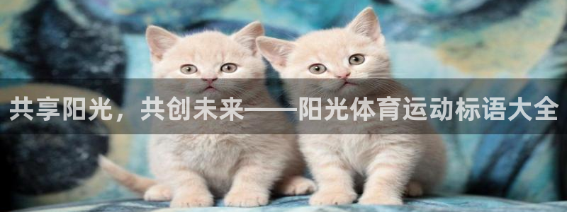 bbin视讯游戏官网：共享阳光，共创未来——阳光体育运动标语大全
