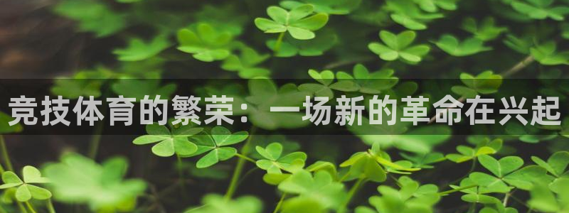 bbin视讯游戏平台