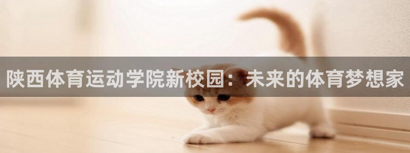 bbin视讯下